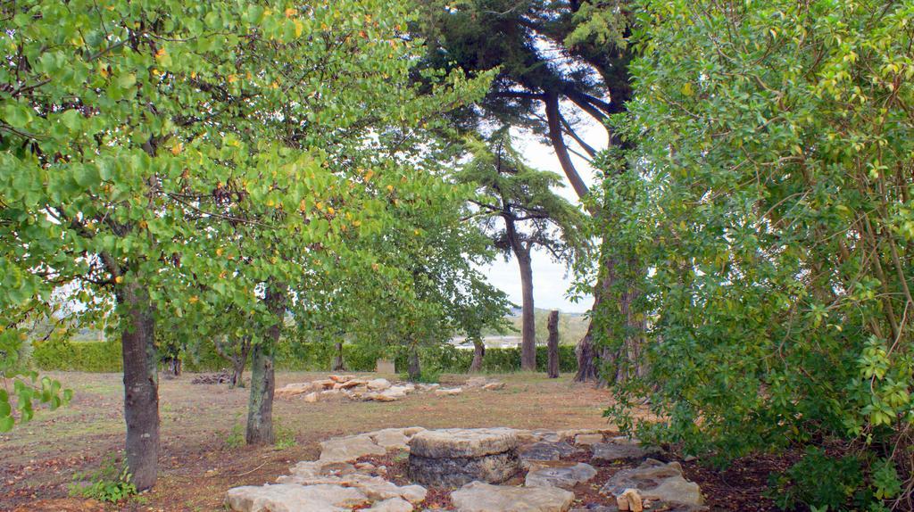 Quinta Da Mata Sobral (Santarem) Exterior foto